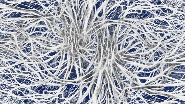 COVID-19 und die Auswirkungen auf das vegetative Nervensystem